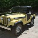 1973 jeep cj5 304 V8