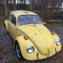 1973 Standard Beetle