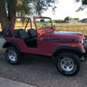 1974 Jeep CJ5 Renegade Plum purple one owner v8