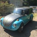 1974 volkswagen beetle vendetta