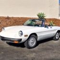 1975 Alfa Romeo Spider