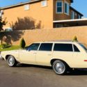 1975 Buick Century wagon