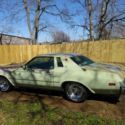 1975 buick regal
