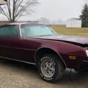 1975 Pontiac Firebird - No Reserve