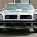 1975 Pontiac Firebird Trans Am Edition (Mint)