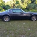 1975 PontiacTrans Am, 6.6 Liter / TH350 Automatic, Limited Slip Posi Rear
