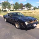1976 50th Anniversary Trans Am