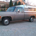 1976 C10 scottsdale long 350 sbc 4bbl Tennessee truck, daily driver