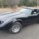 1976 C3 Chevrolet Chevy Corvette Stingray T-Tops Project Car Runs/Drives