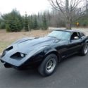 1976 C3 Corvette Stingray, T-Tops, Coupe, Project 1975 1977