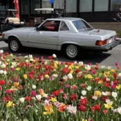 1976 Mercedes-Benz 450SL Convertible Grey Absolutely gorgeous