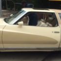 1976 Monte Carlo Landau Coupe Custom Sunroof Trunk kit clean