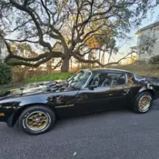 1976 Pontiac Firebird 6.5 Trans Am Coupe Black trans am