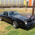 1976 Pontiac Firebird Coupe 2-Door 5.7L