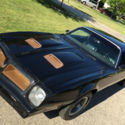 1976 Pontiac Firebird Formula 400 4 speed