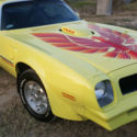 1976 Pontiac Trans Am 6.6 MINT Condition
