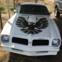 1976 Pontiac Trans Am 76 4 speed manual transmission no reserve