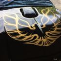 1976 pontiac trans am Factory 4 Speed