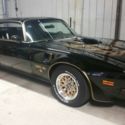 1976 Trans Am 50th Anniversary SE