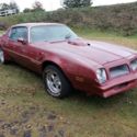 1976 trans am 6.6 litre