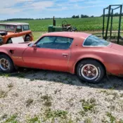 1976 Trans Am project for sale