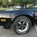 1976 Trans Am  Rotisserie Restoration, Highway Cruiser, Beautiful car