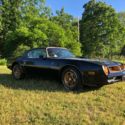 1976 Trans Am Special Edition