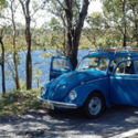 1976 VW beetle from Brazil (U.S. 67-68)