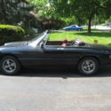 1977 Alfa Romeo Spider