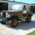 1977 Brown Golden Eagle!
