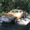 1977 Buick Skylark 67400 mile surviver