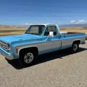 1977 Chevrolet C20 Long bed Patina !!