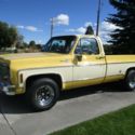 1977 CHEVROLET C20 SILVERADO CAMPER SPECIAL 454 CALIFORNIA TRUCK ORIGINAL PAINT