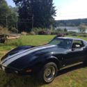 1977 Chevrolet Corvette Black & White Custom 355 Small Block Over $40,000 In