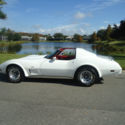 1977 CORVETTE  LIKE NEW  GORGEOUS CAR   2 owner car  22,329 miles priced to sell