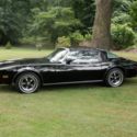 1977 Firebird Esprit 350