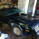 1977 pontiac BANDIT TRANS AM BLACK GOLD BARN FIND NOT ORIGINAL MOTOR 455 HO