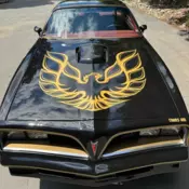 1977 Pontiac Firebird Black Trans Am (FREE SHIPPING)