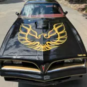 1977 Pontiac Firebird Black Trans Am