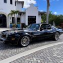 1977 pontiac firebird trans am coupe 2-door 6.6l Y82 Special Edition W72