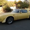 1977 pontiac trans am 6.6 yellow bird