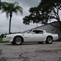 1977 Pontiac Trans AM 6.6L 4-Speed Crate Frame Off Restored Factory Air Bandit