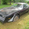 1977 Pontiac Trans-Am Black 400 Auto