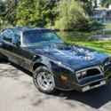 1977 PONTIAC TRANS AM - BLK/BLK/PLATINUM  - T-TOPS - LOADED