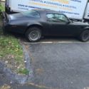 1977 Pontiac Trans-Am firebird