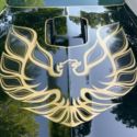 1977 Pontiac Trans Am SE Y82 4 Speed Unrestored
