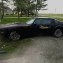1977 Pontiac Trans Am - SPECIAL EDITION - T-tops - Auto - 2nd owner of 37 yrs