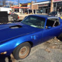 1977 Pontiac TRANS AM  T_TOPS Pace Car