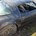 1977 pontiac trans am Y82