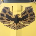 1977 PontiacTrans AM
